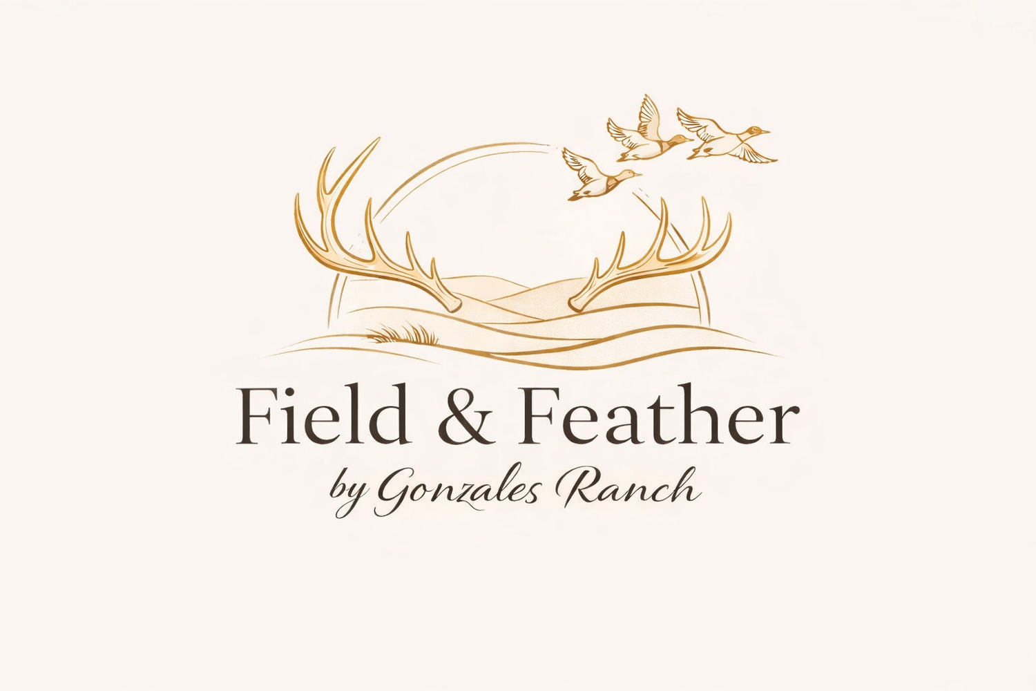 Field and Feather